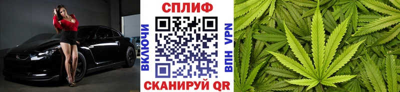 Где можно купить наркотики Каргат Каннабис  MEGA как войти  ГАШ  Меф мяу мяу  АМФ 